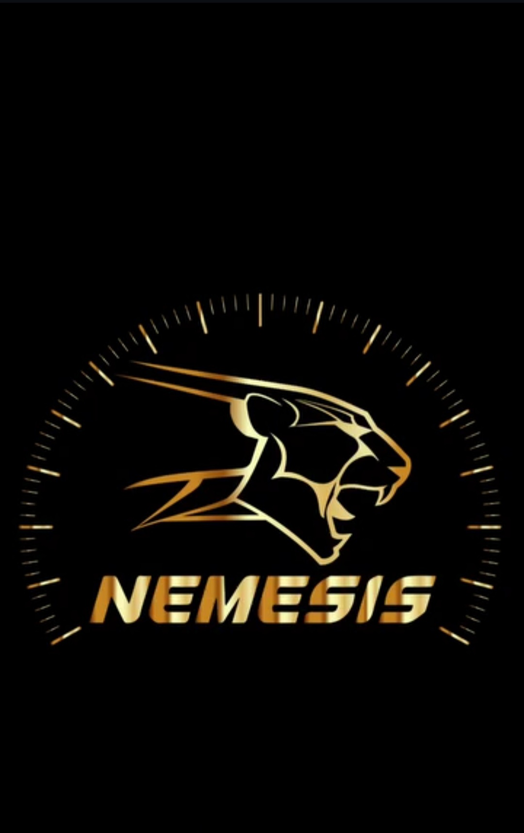 Nemesisgokart 